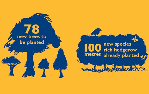 Biodiversity Infographic University College Oxford Univ