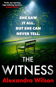 The Witness book cover — bench in park at night