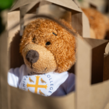 Univ 775 Festival highlights Univ 775 Festival highlights