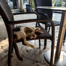 Travel Diary in Türkiye