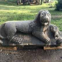 Travel Diary in Türkiye