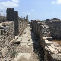 Travel Diary in Türkiye