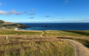 Sandfly Bay, Otago Peninsula