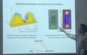 QLife Paris Spring School 2025