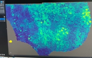 QLife Paris Spring School 2025