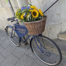 Open Days July 2025 Open Days July 2025