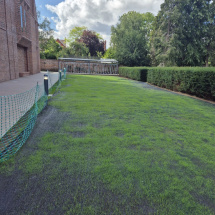 Planting at Univ North Planting at Univ North