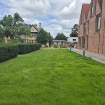 Planting at Univ North Planting at Univ North