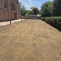 Planting at Univ North Planting at Univ North