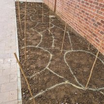 Planting at Univ North Planting at Univ North