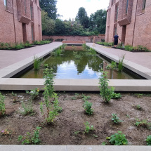 Planting in and around the Water Rill Planting at Univ North