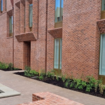 Planting at Univ North Planting at Univ North