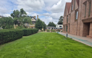 Planting at Univ North