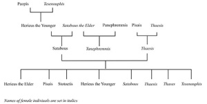 Family tree of a priestly family from Dime (drawing by M. Schentuleit)