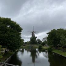 Leiden Oxford Transplantation Summer School 2025 Leiden Oxford Transplantation Summer School 2025